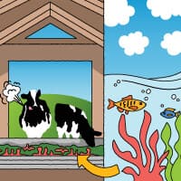 Μείωση Εντερικών Εκπομπών: Πώς το να Βάλουμε τις Αγελάδες Μας σε Νέα Δίαιτα Μπορεί να Βοηθήσει στη Μάχη Κατά της Κλιματικής Αλλαγής