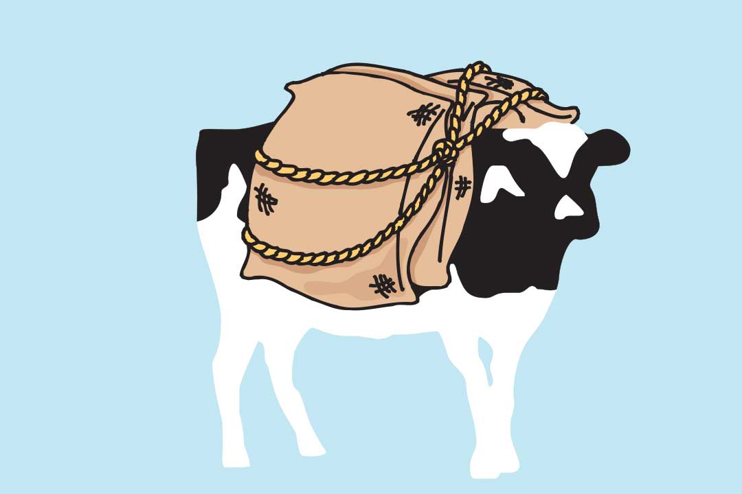 Ο Woodie με σακιά στην πλάτη του